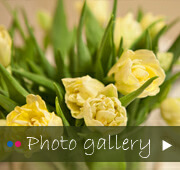 Photogallery